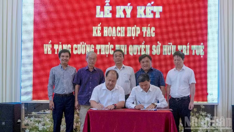 Sò huyết Cà Mau nhận chỉ dẫn địa lý, góp phần nâng tầm nông sản vùng mặn