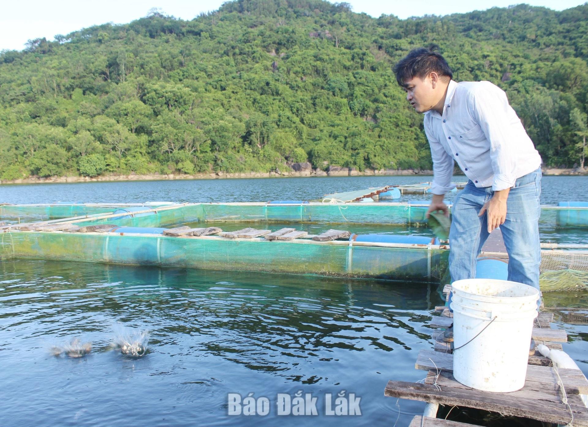 Tập huấn quản lý chỉ dẫn địa lý cho cá chình bông Phú Yên