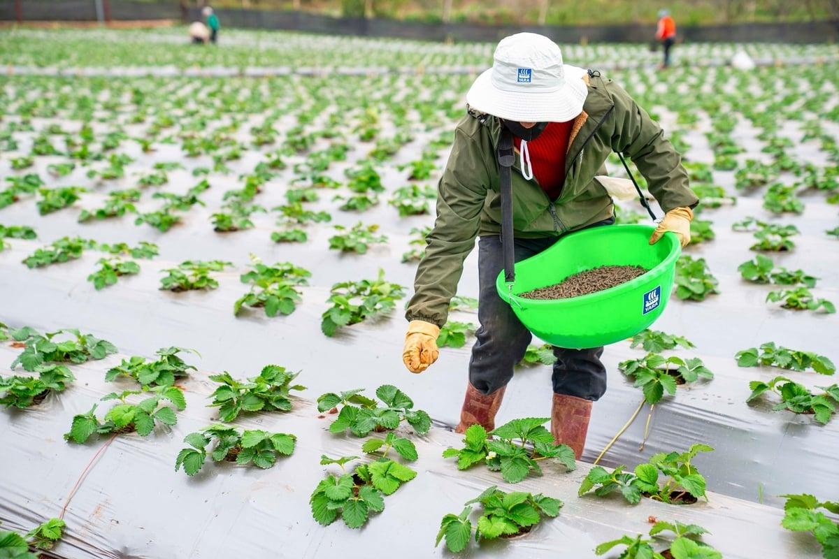 Công bố dự thảo Chiến lược Sức khỏe đất Quốc gia đến năm 2030
