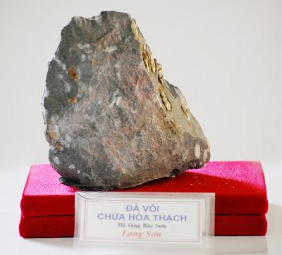 Đá vôi chứa hóa thạch, hệ tầng Bắc Sơn, Lạng Sơn
