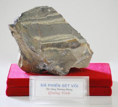 Đá phiến sét vôi, hệ tầng Dưỡng Động, Quảng Ninh