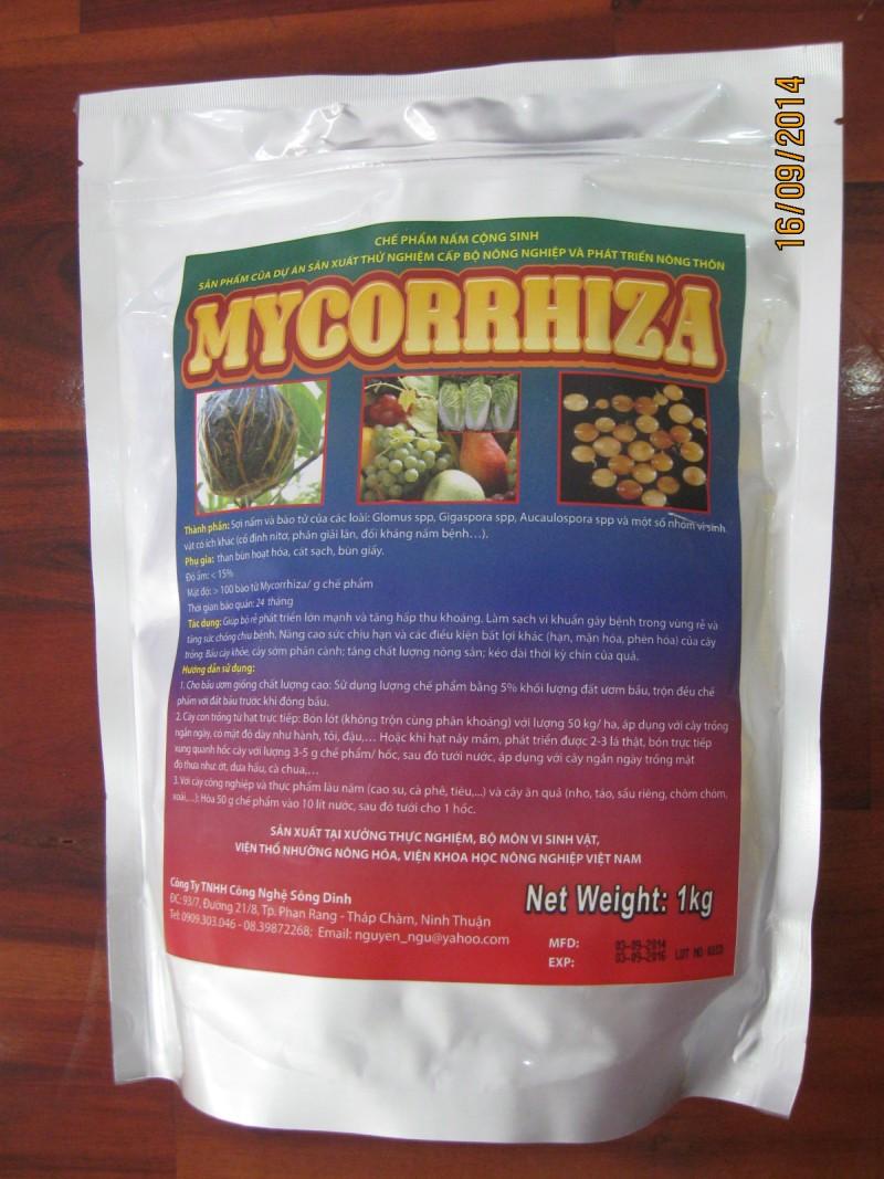 Chế phẩm nấm rễ cộng sinh Mycorrhiza